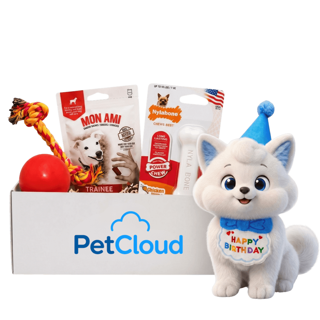 Cloud Box con juguetes y peluche de Nubi