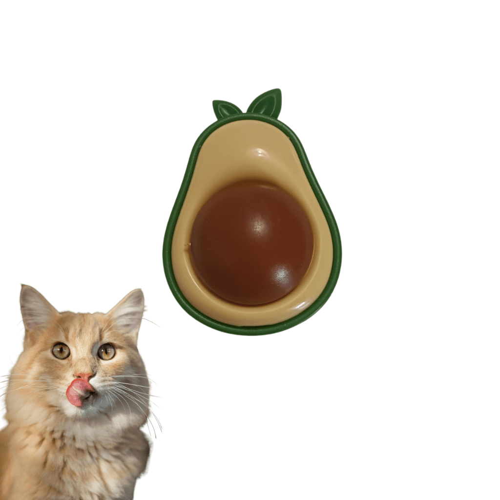 Catnip Bola Interactiva Para Gato Palta